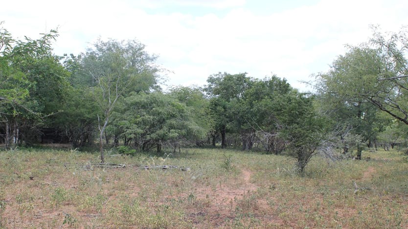 Vacant Land for sale in Marloth Park